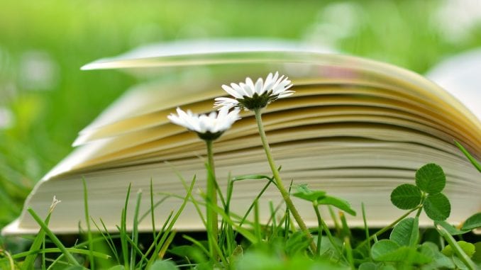 EDUCAÇÃO AMBIENTAL