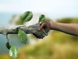 Planos e projetos ambientais